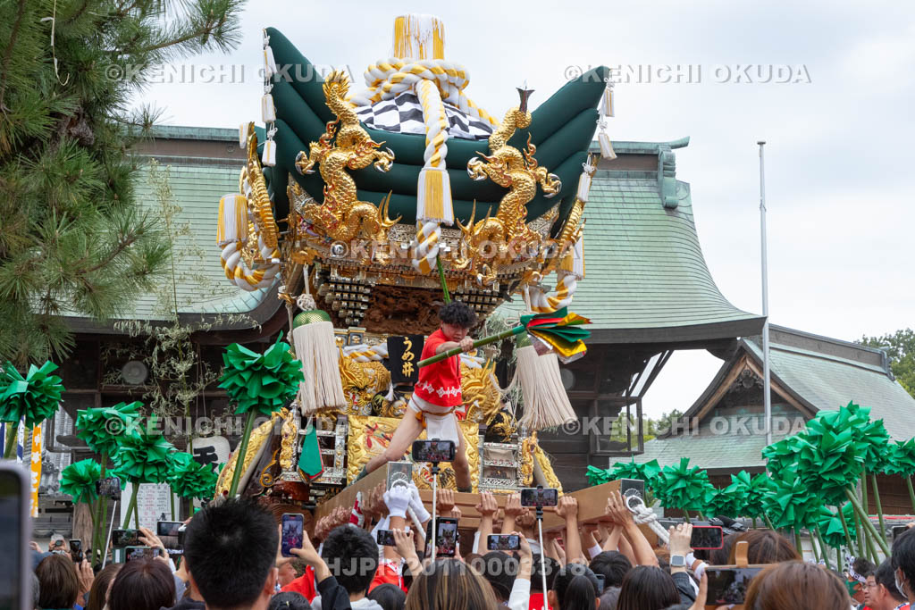 兵庫県　曽根天満宮　秋季例大祭（本宮）　布団屋台（梅井）