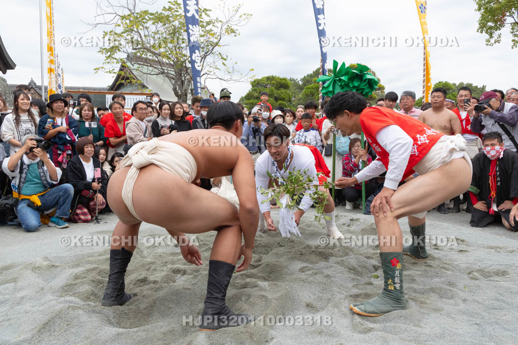 兵庫県　曽根天満宮　秋季例大祭（本宮）　奉納相撲神事