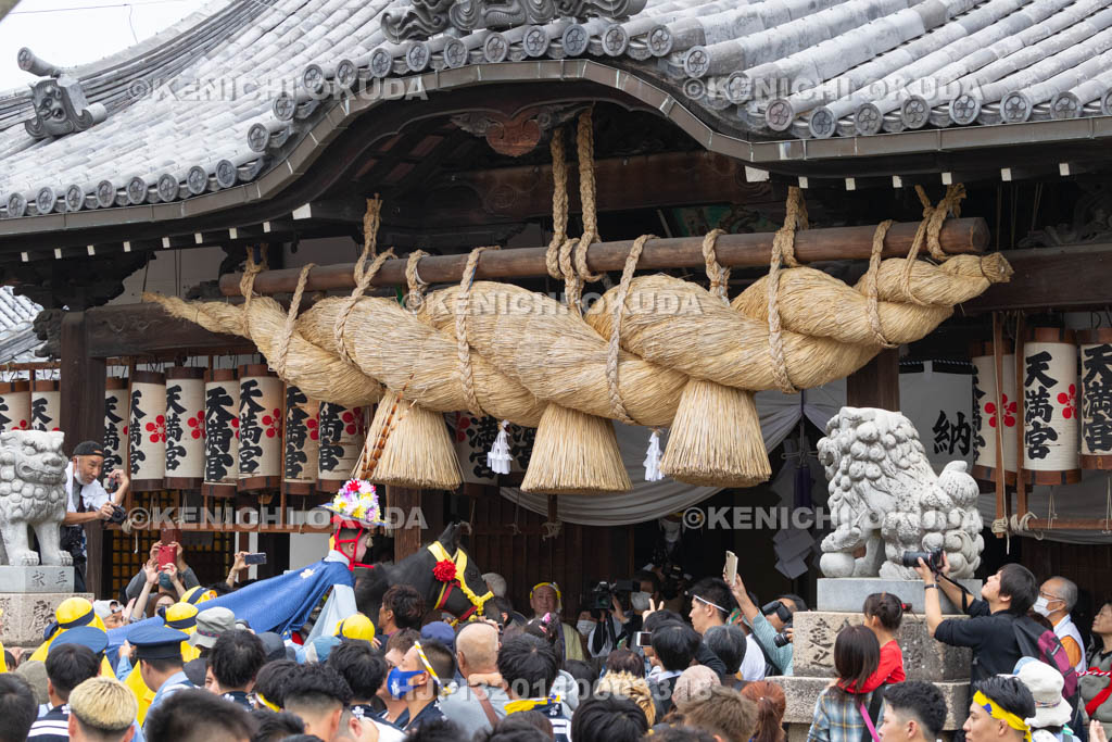 兵庫県　曽根天満宮　秋季例大祭（本宮）　一ツ物宮入