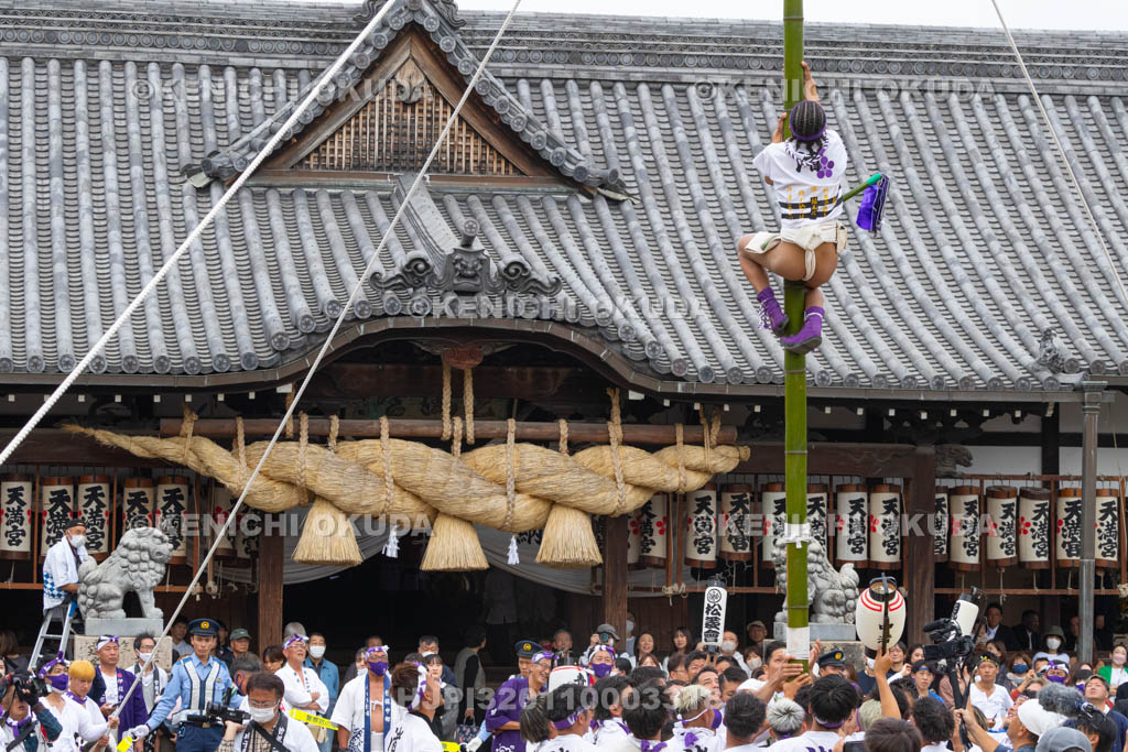 兵庫県　曽根天満宮　秋季例大祭（本宮）　神事竹割り