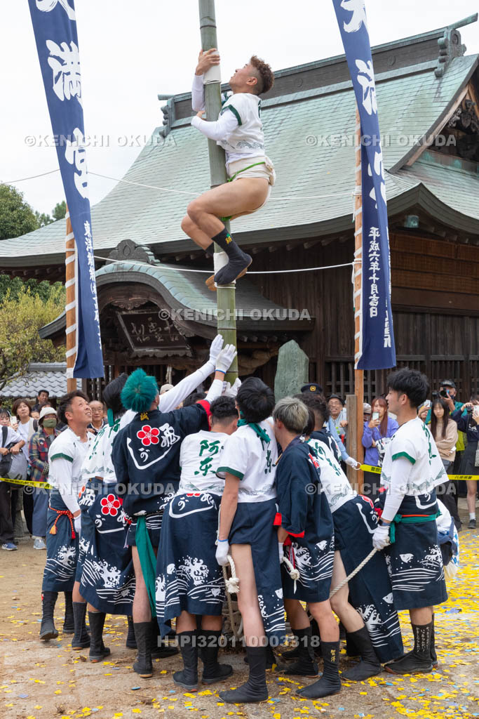 兵庫県　曽根天満宮　秋季例大祭（本宮）　神事竹割り
