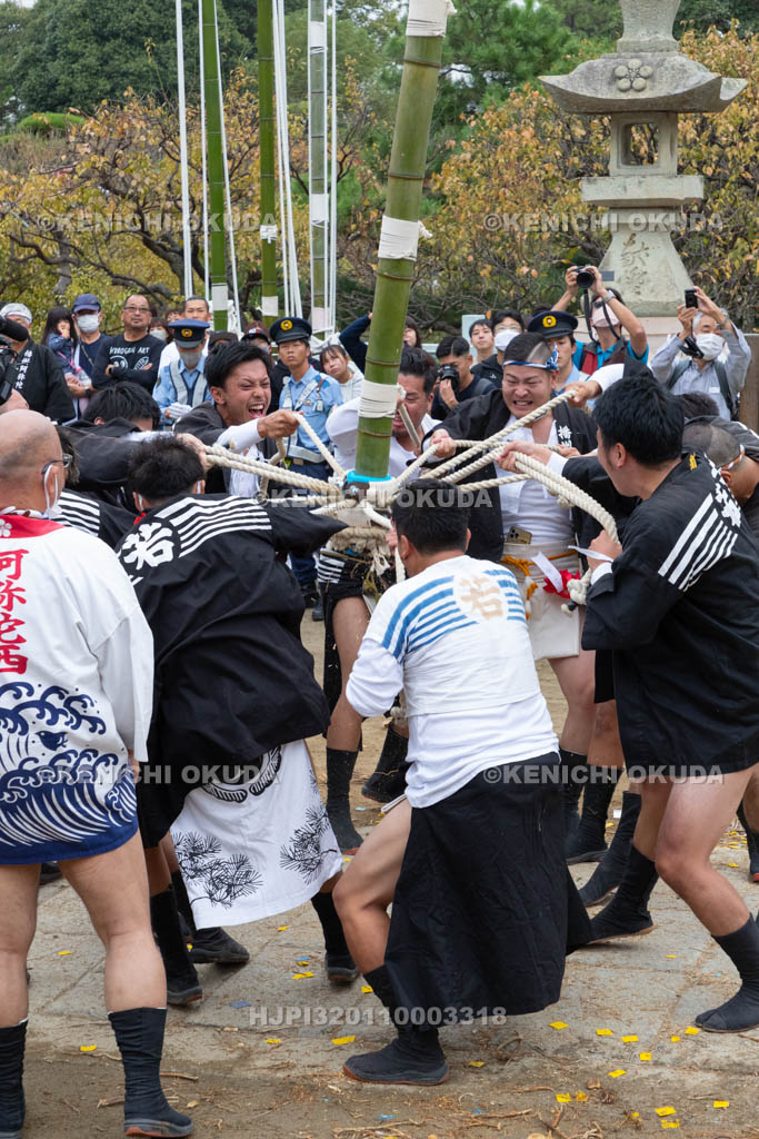 兵庫県　曽根天満宮　秋季例大祭（本宮）　神事竹割り