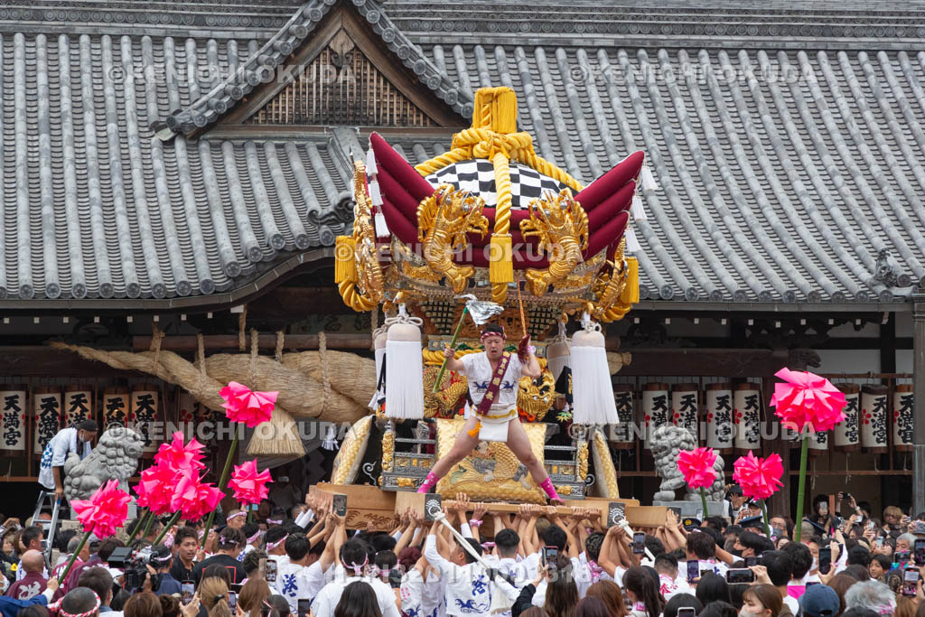 兵庫県　曽根天満宮　秋季例大祭（本宮）　布団屋台宮入（高須）