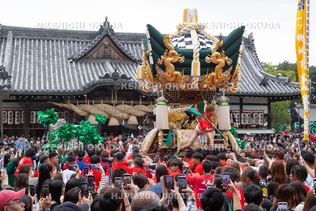 兵庫県　曽根天満宮　秋季例大祭（本宮）　布団屋台宮入（梅井）