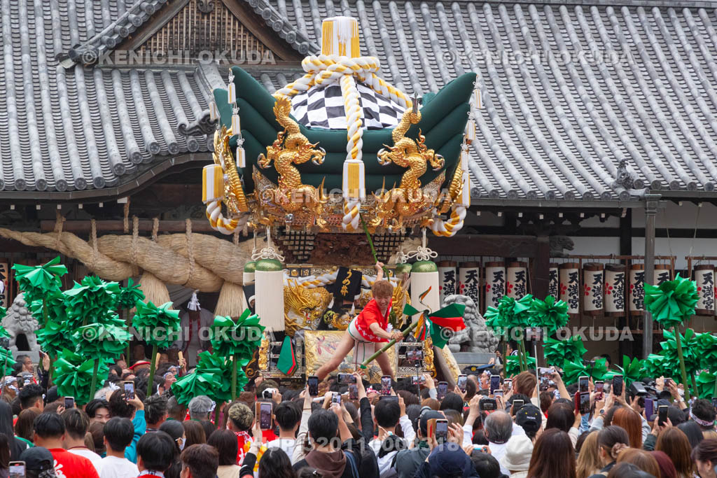 兵庫県　曽根天満宮　秋季例大祭（本宮）　布団屋台宮入（梅井）