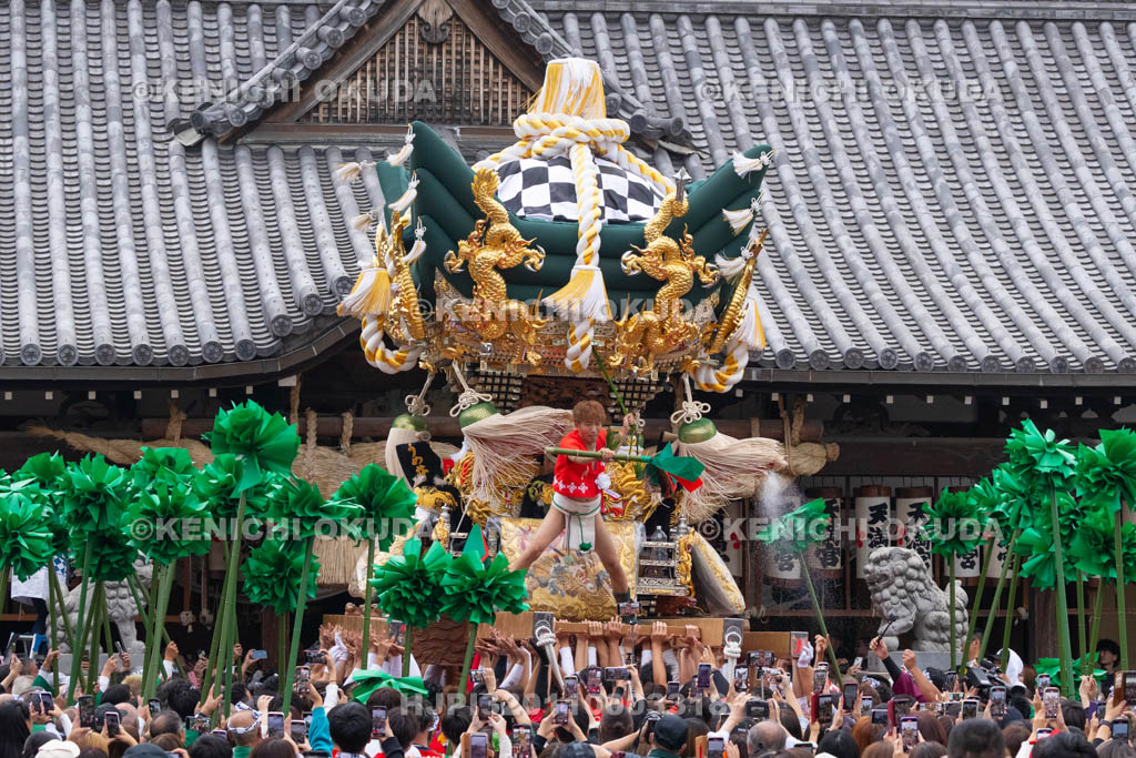 兵庫県　曽根天満宮　秋季例大祭（本宮）　布団屋台宮入（梅井）