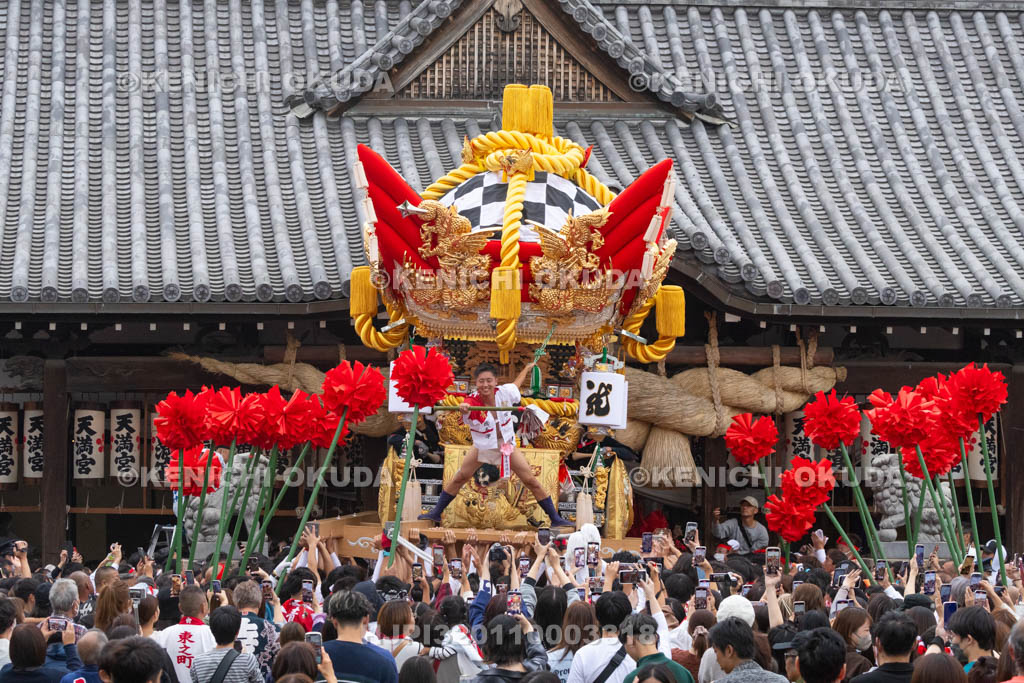 兵庫県　曽根天満宮　秋季例大祭（本宮）　布団屋台宮入（東之町）