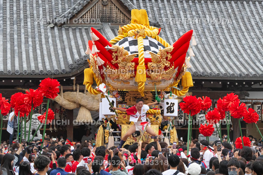 兵庫県　曽根天満宮　秋季例大祭（本宮）　布団屋台宮入（東之町）