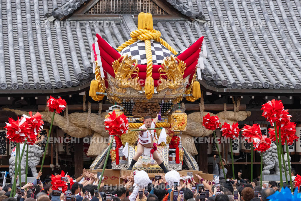 兵庫県　曽根天満宮　秋季例大祭（本宮）　布団屋台宮入（中筋西）