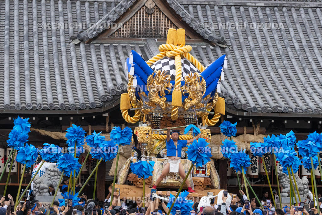 兵庫県　曽根天満宮　秋季例大祭（本宮）　布団屋台宮入（伊保西部）