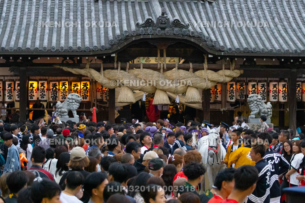 兵庫県　曽根天満宮　秋季例大祭（本宮）　馬かけ