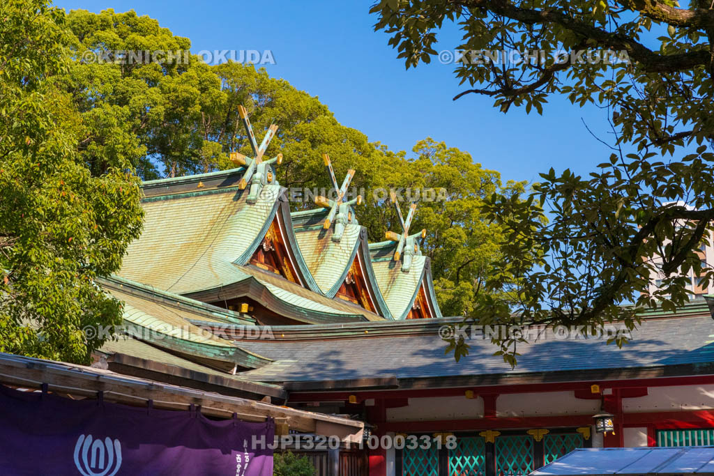 兵庫県　西宮神社　本殿