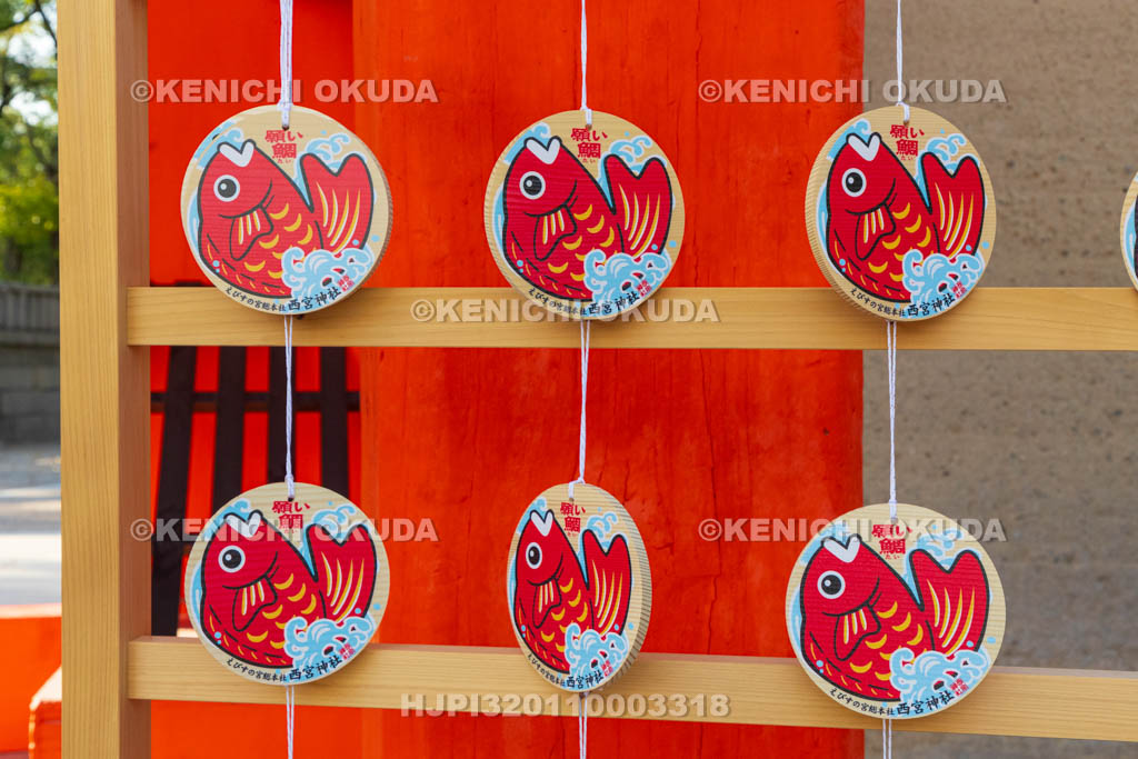 兵庫県　西宮神社　願い鯛絵馬