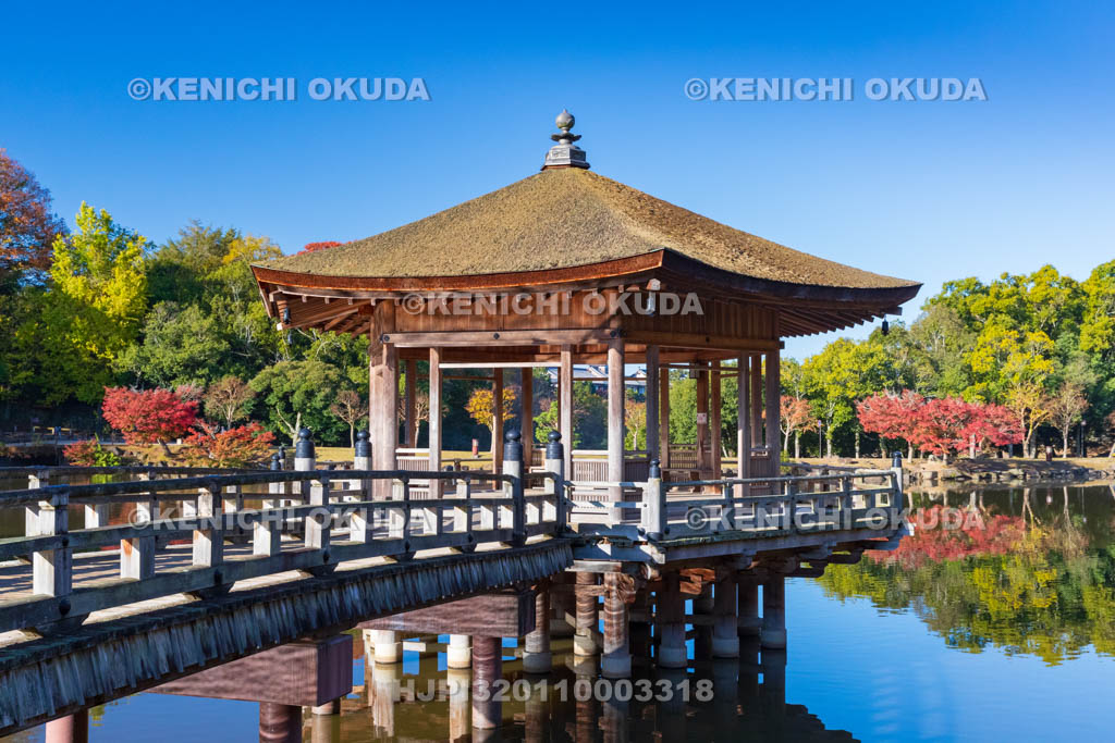 奈良県　紅葉の浮見堂と鷺池