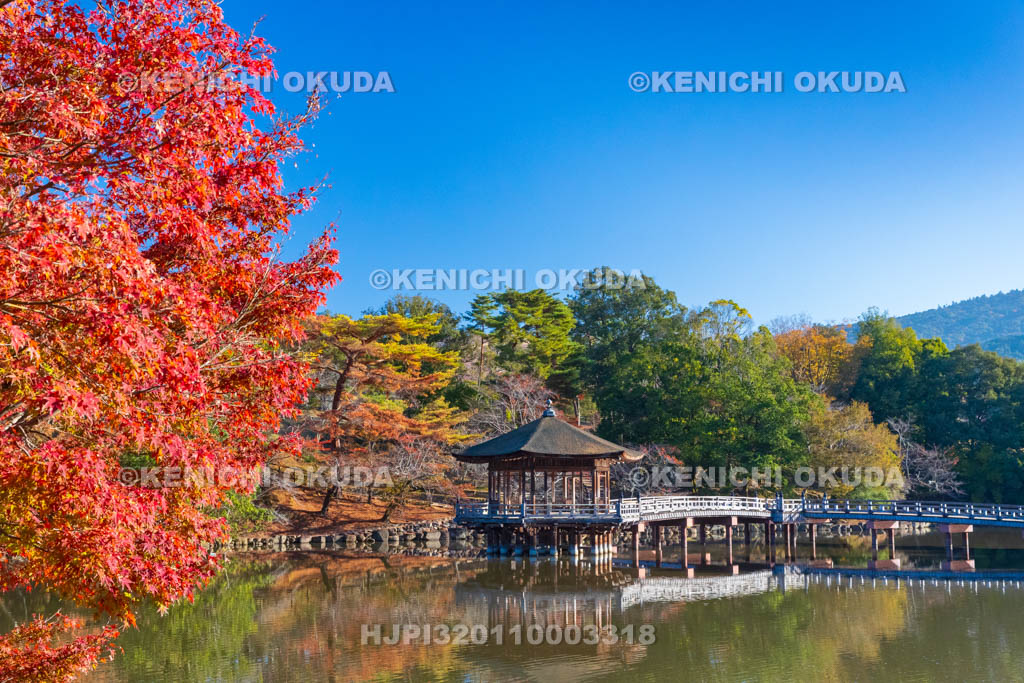 奈良県　紅葉の浮見堂と鷺池