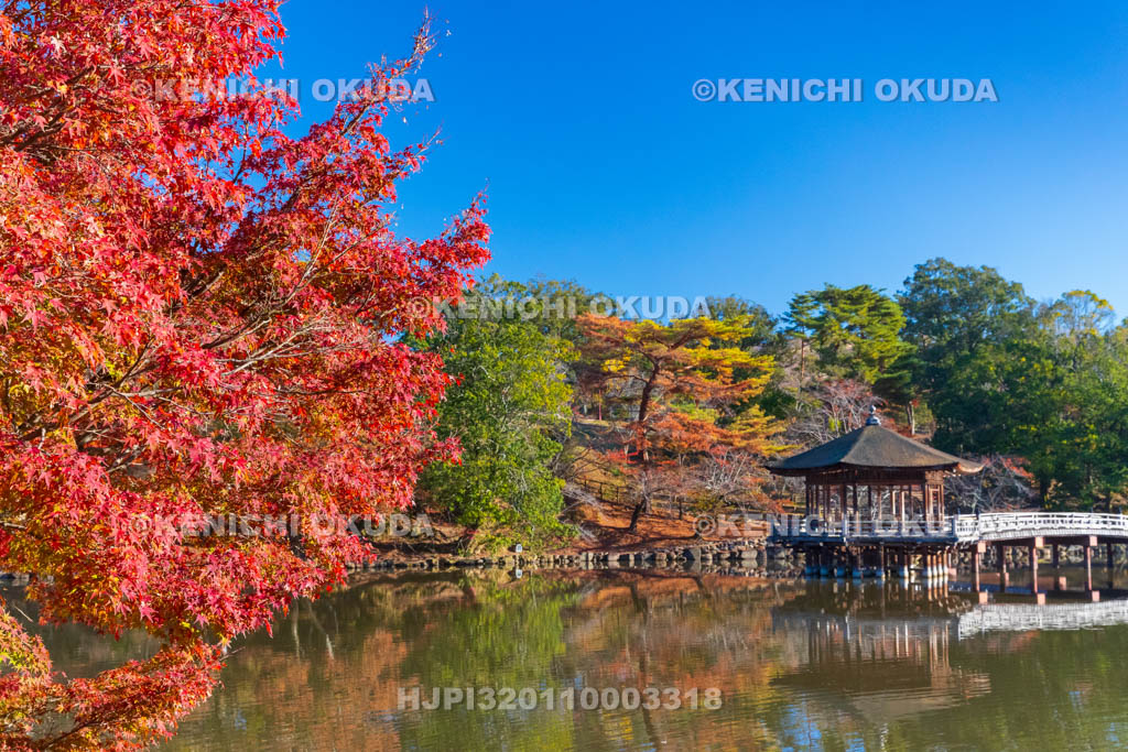 奈良県　紅葉の浮見堂と鷺池
