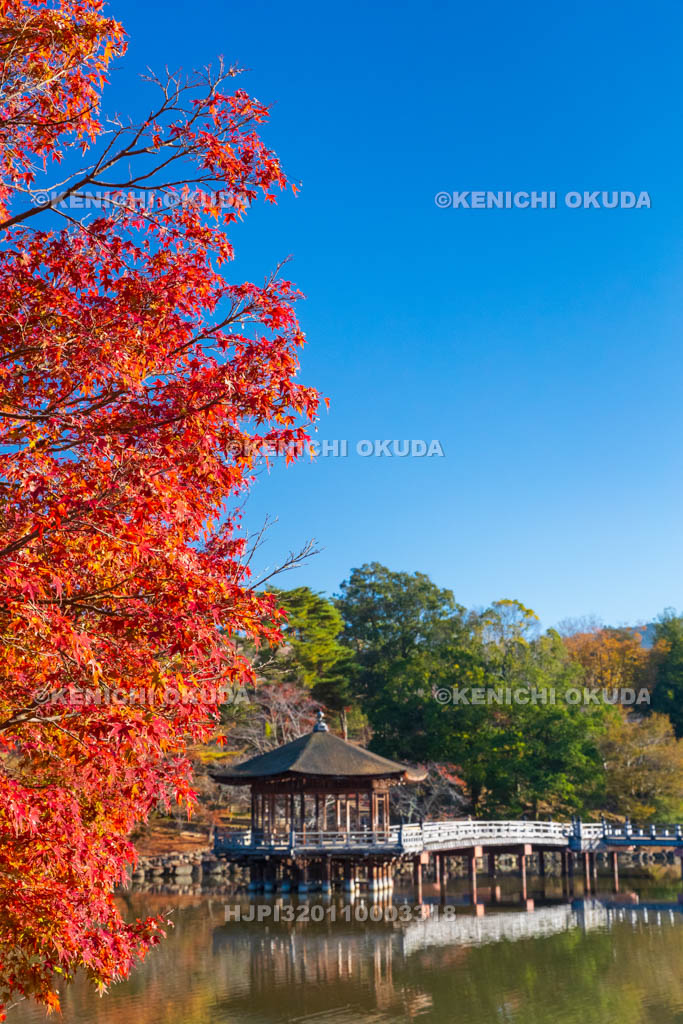 奈良県　紅葉の浮見堂と鷺池