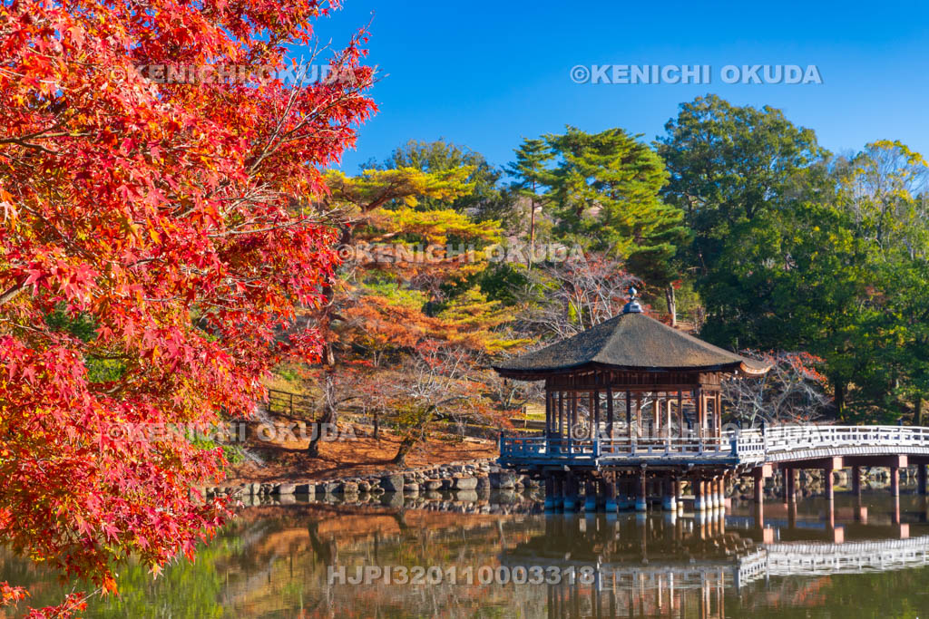 奈良県　紅葉の浮見堂と鷺池