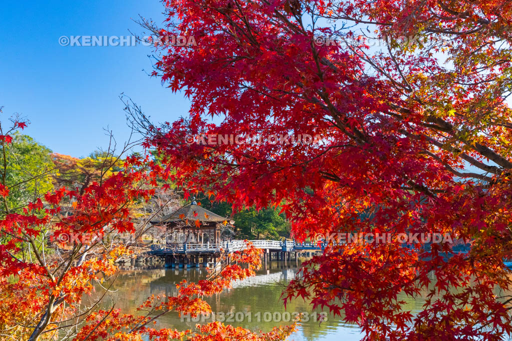 奈良県　紅葉の浮見堂と鷺池