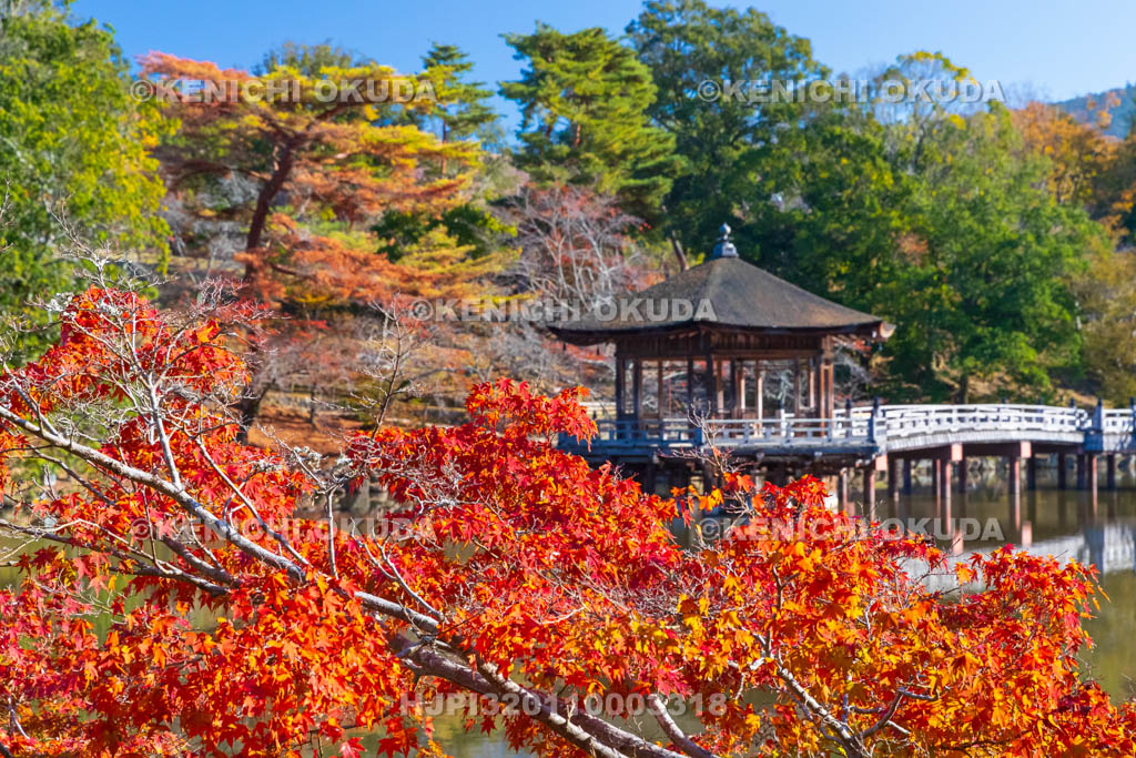 奈良県　紅葉の浮見堂と鷺池