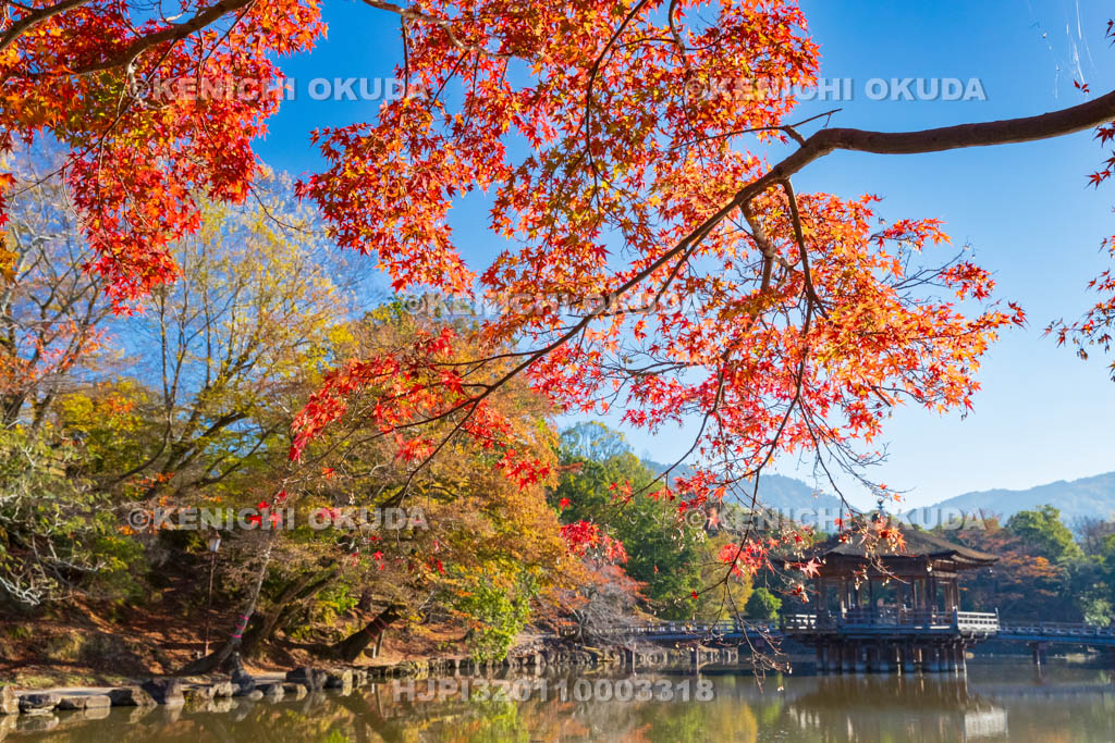 奈良県　紅葉の浮見堂と鷺池