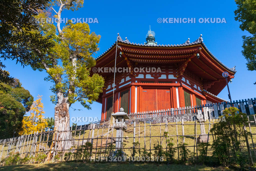 奈良県　興福寺　南円堂（重文）