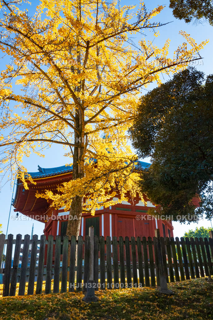 奈良県　興福寺　黄葉の南円堂（重文）