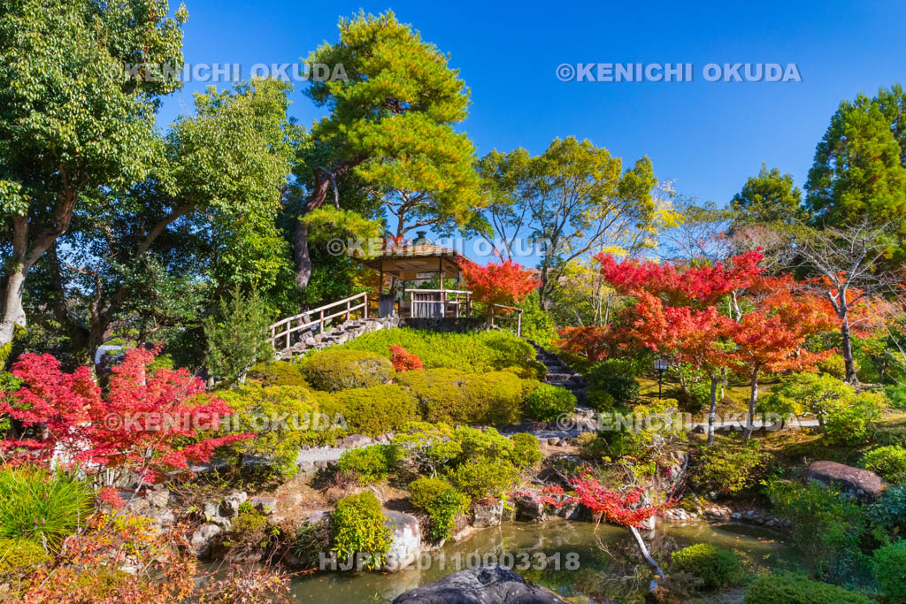 奈良県　紅葉の吉城園　池の庭