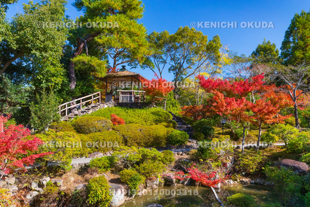 奈良県　紅葉の吉城園　池の庭
