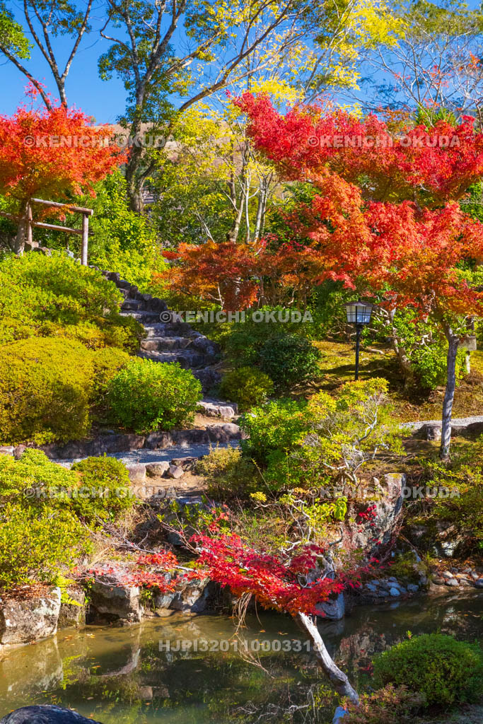 奈良県　紅葉の吉城園　池の庭