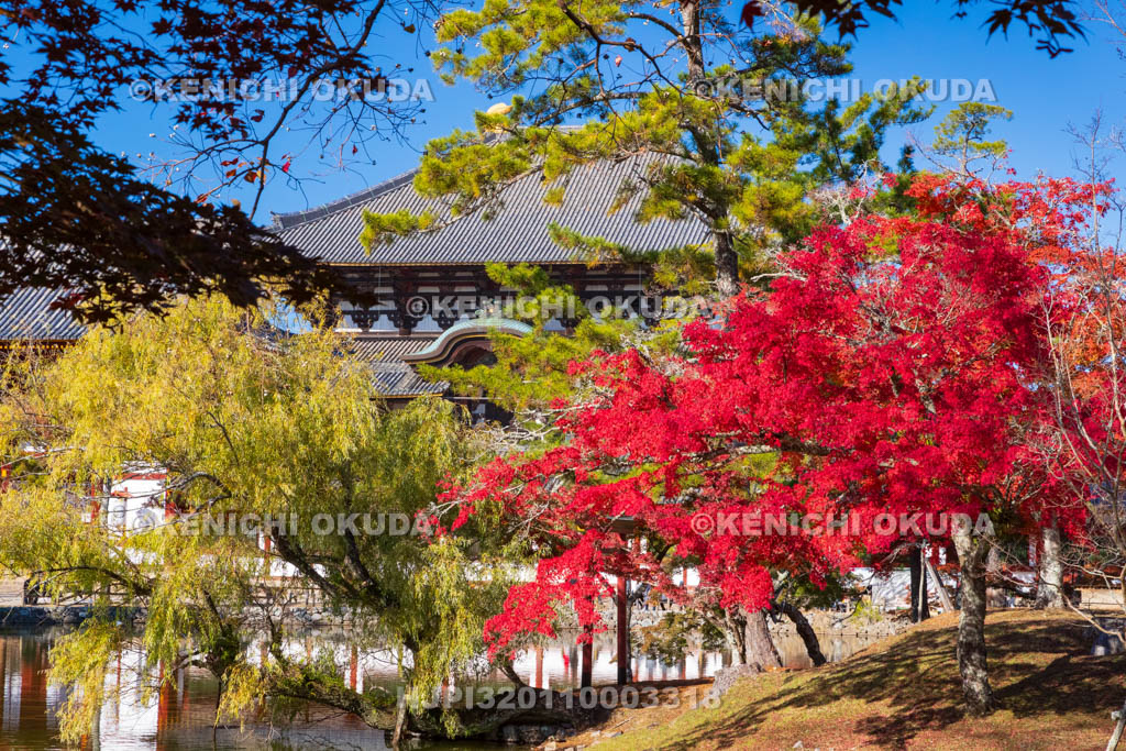 奈良県　紅葉の東大寺　大仏殿（国宝）