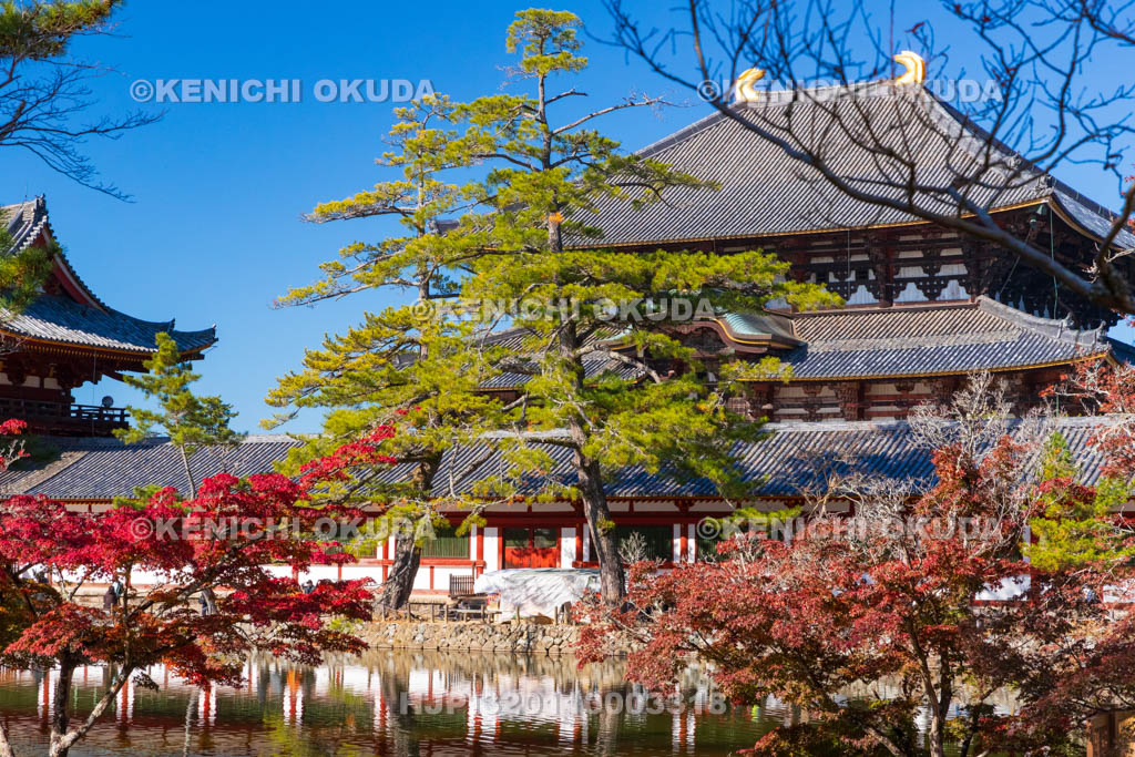 奈良県　紅葉の東大寺　大仏殿（国宝）