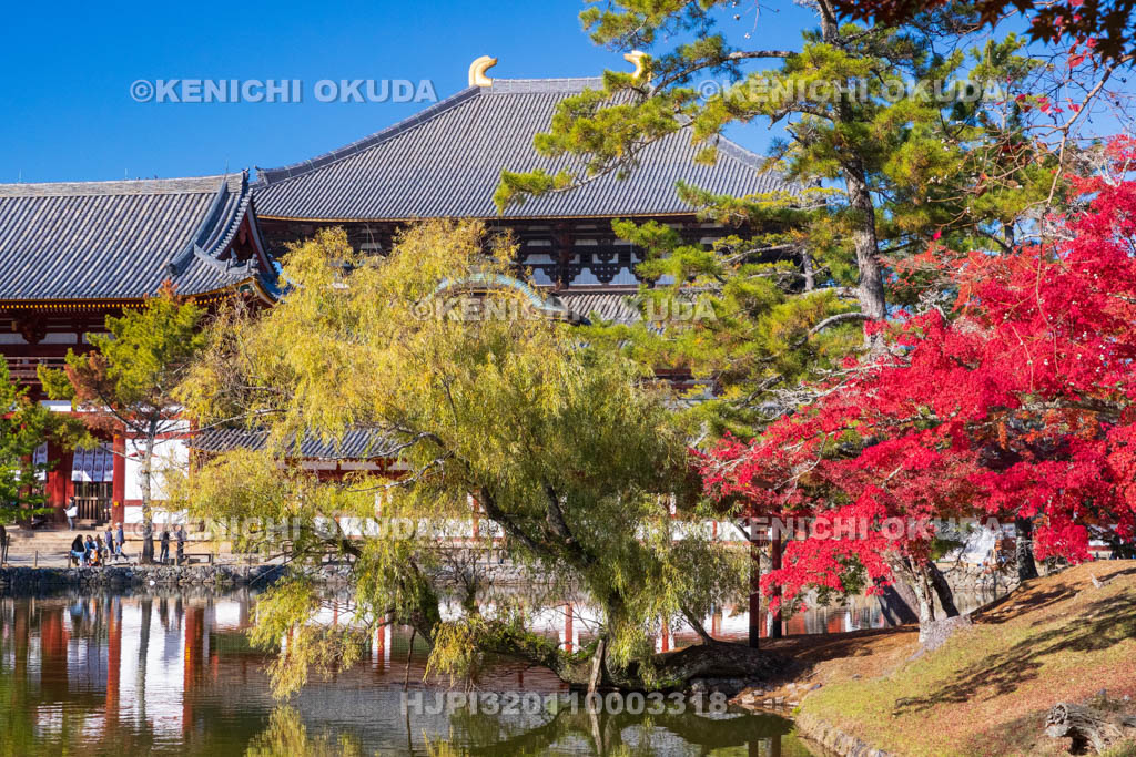 奈良県　紅葉の東大寺　大仏殿（国宝）