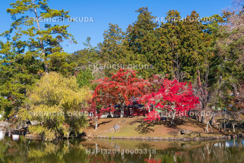 奈良県　紅葉の東大寺
