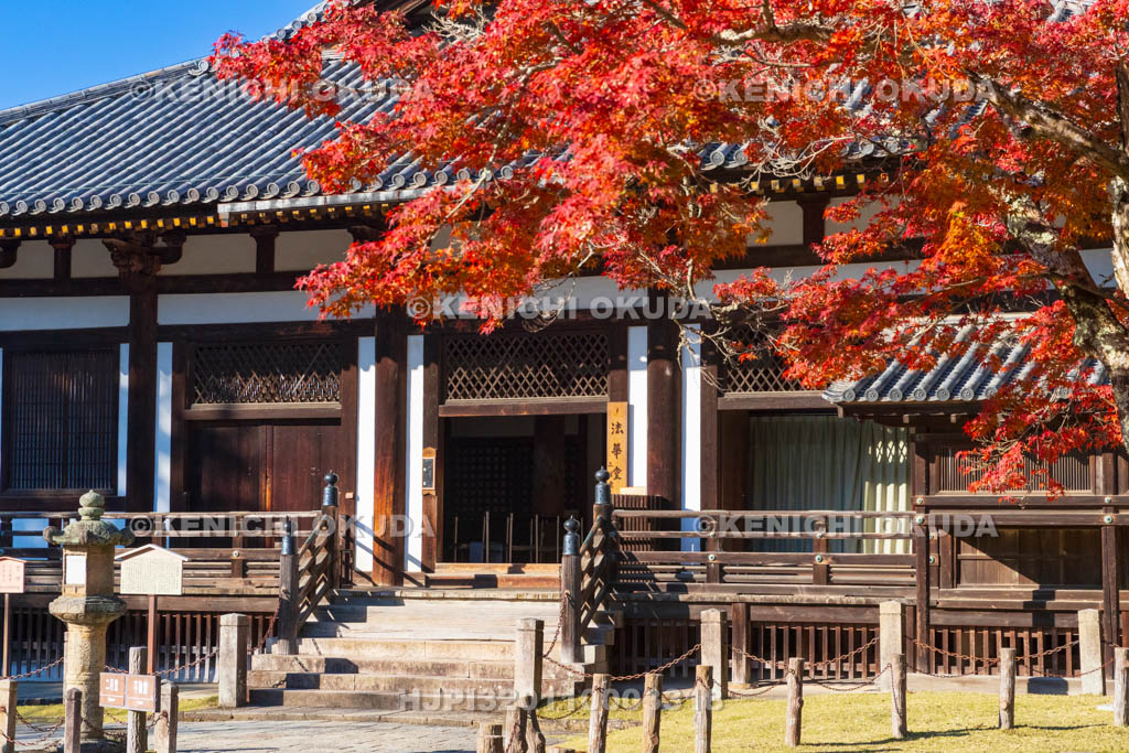 奈良県　紅葉の東大寺　法華堂（国宝）