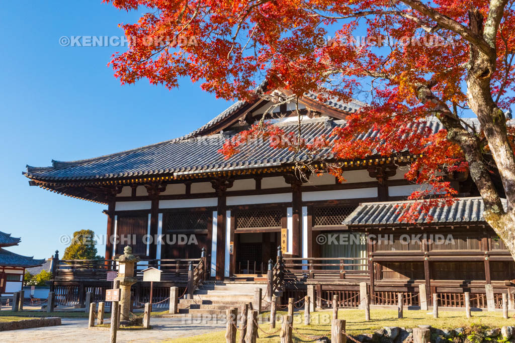 奈良県　紅葉の東大寺　法華堂（国宝）