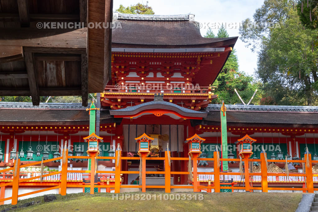奈良県　春日大社　 新嘗祭　懸税（かけぢから）