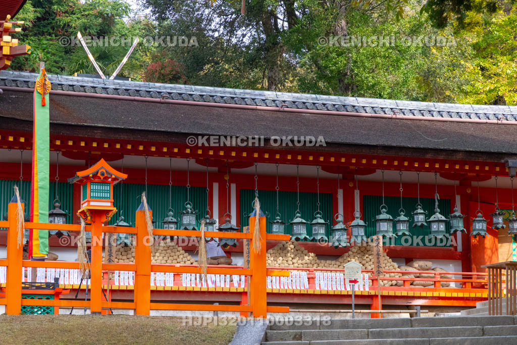 奈良県　春日大社　 新嘗祭　懸税（かけぢから）