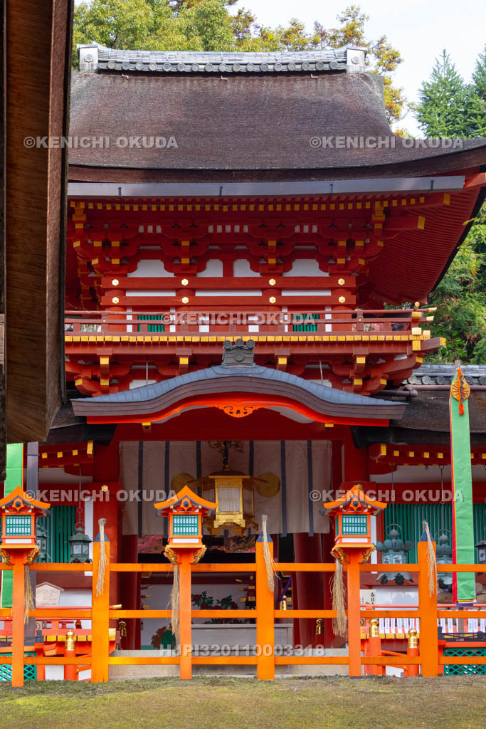 奈良県　春日大社　 新嘗祭　懸税（かけぢから）