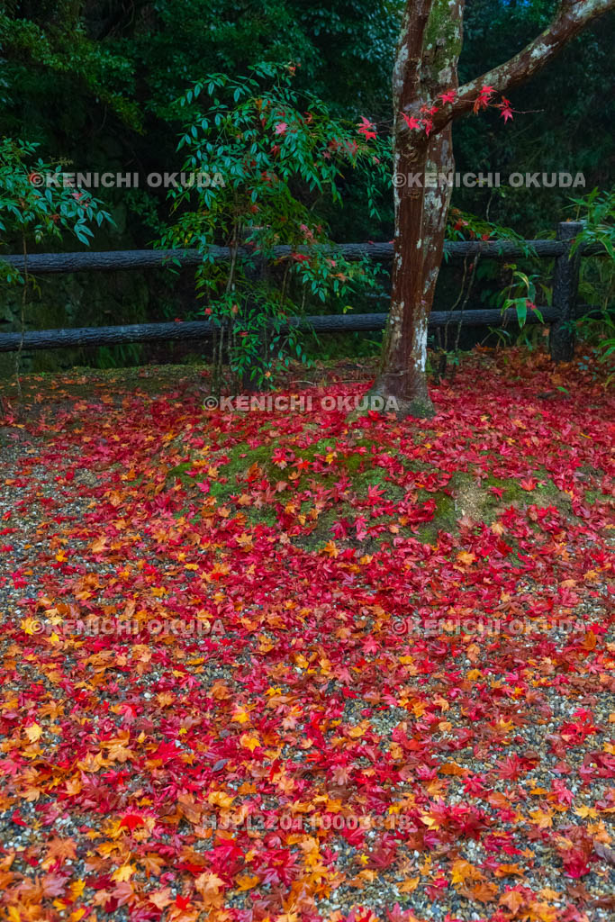 奈良県　紅葉の正暦寺