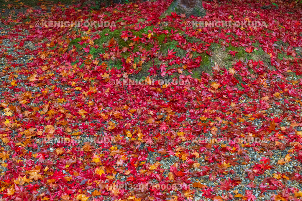 奈良県　紅葉の正暦寺　