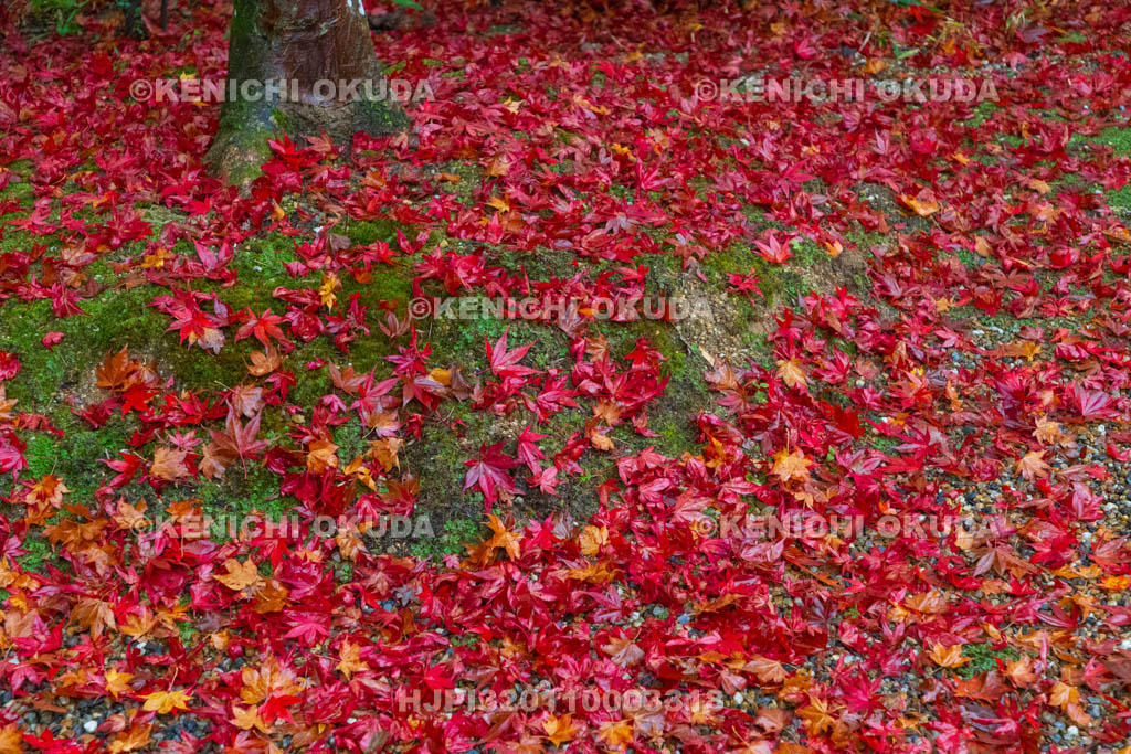 奈良県　紅葉の正暦寺　