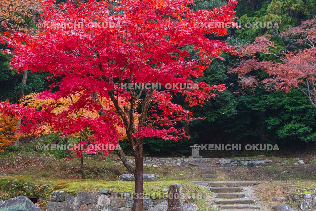 奈良県　紅葉の正暦寺　