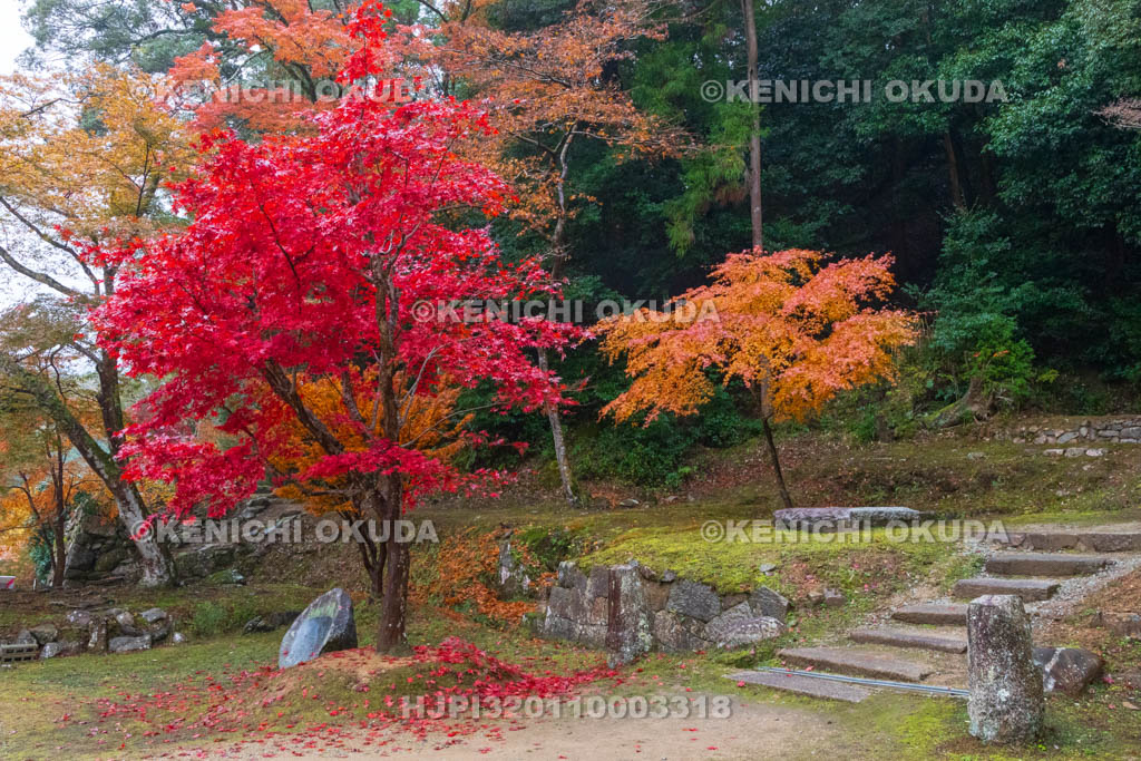 奈良県　紅葉の正暦寺　