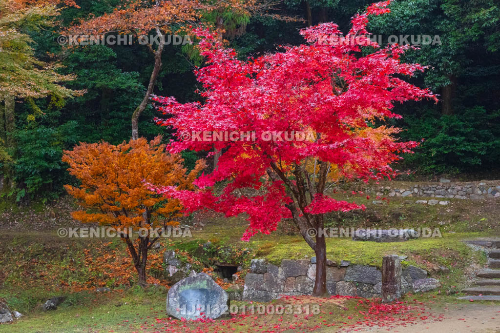 奈良県　紅葉の正暦寺　