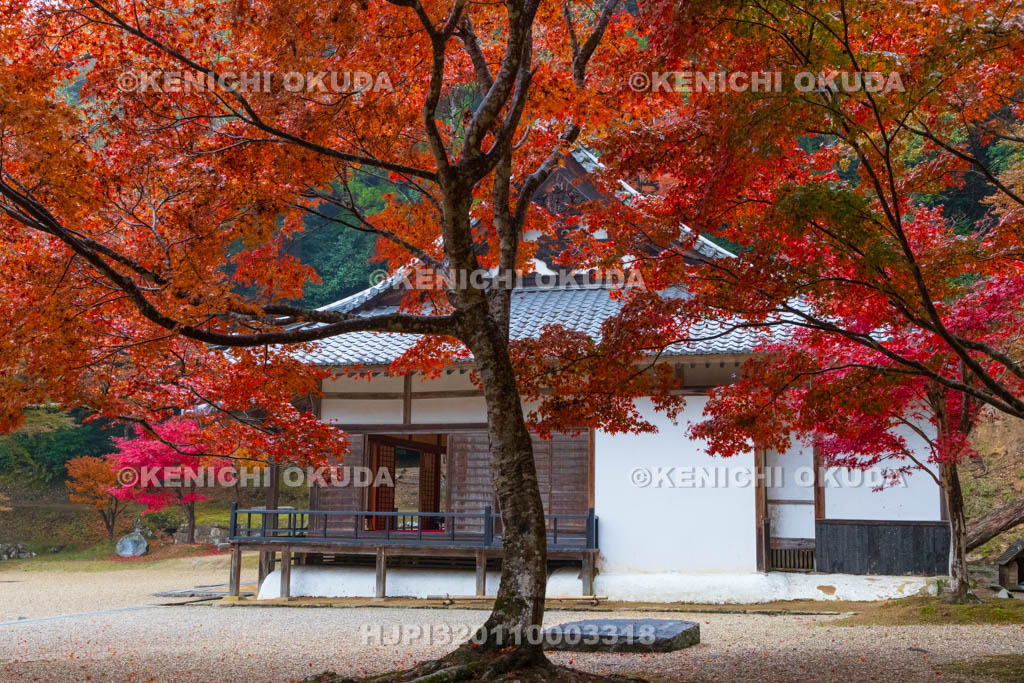 奈良県　紅葉の正暦寺　本堂