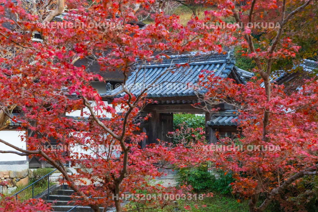 奈良県　紅葉の正暦寺　福寿院の門