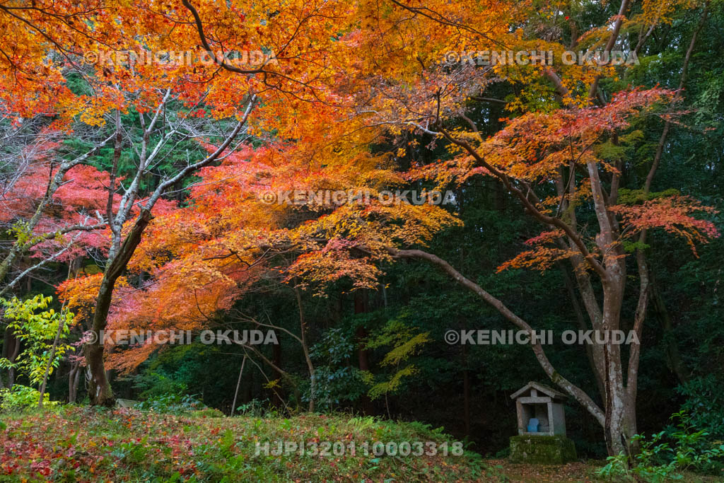 奈良県　紅葉の長岳寺