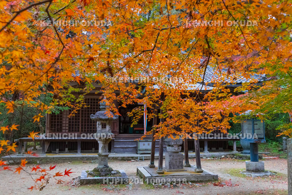 奈良県　紅葉の長岳寺　拝堂