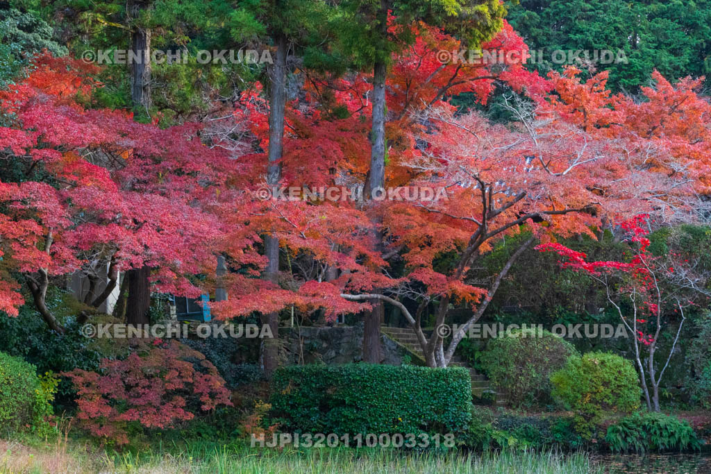 奈良県　紅葉の長岳寺